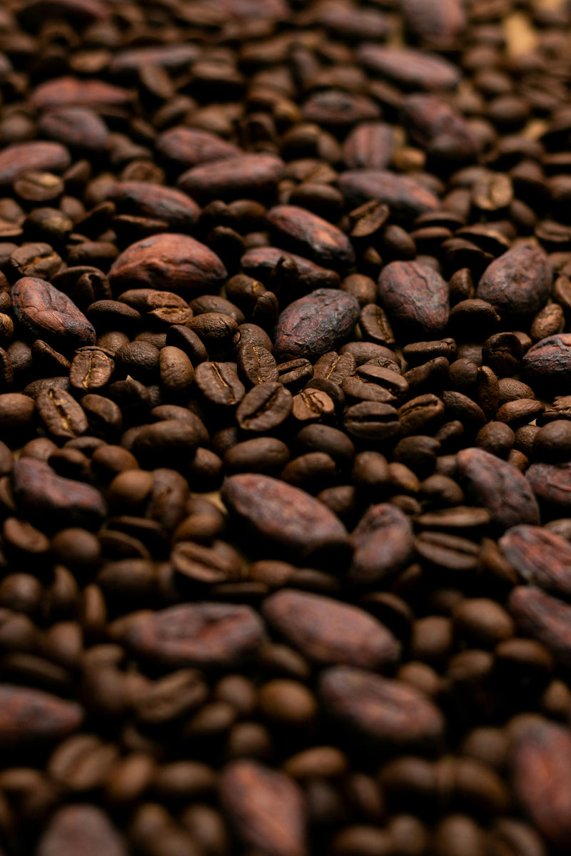 ¿Cómo el café premium transformó el mercado global?